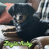 Layla Ruby