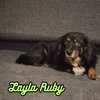 Layla Ruby - Photo 7
