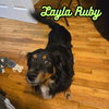 Layla Ruby - Photo 5