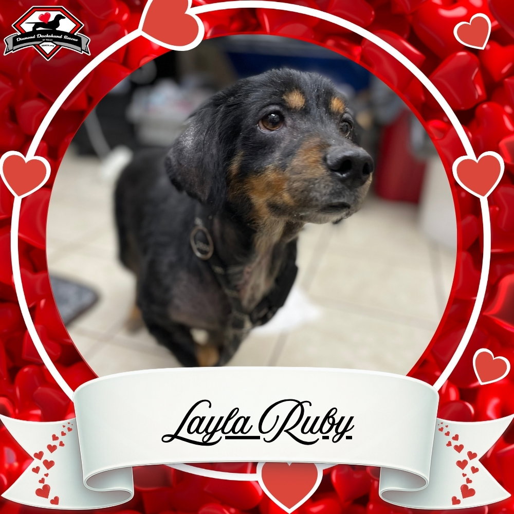 Layla Ruby Image