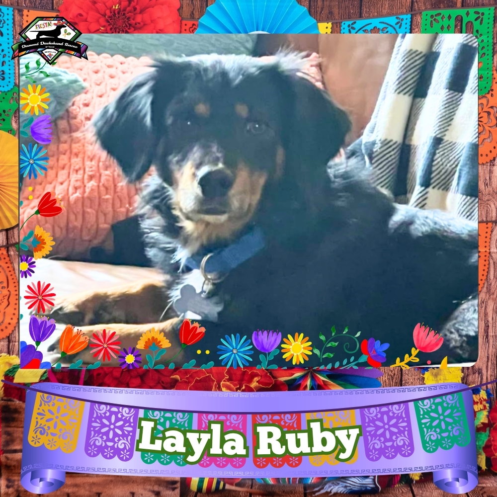 Layla Ruby