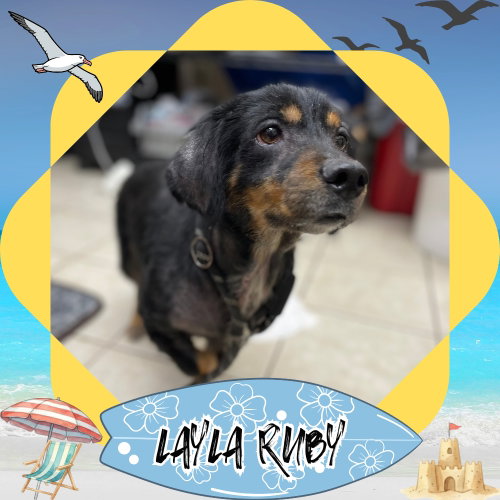 Layla Ruby