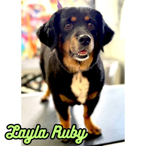 Layla Ruby, photo 14