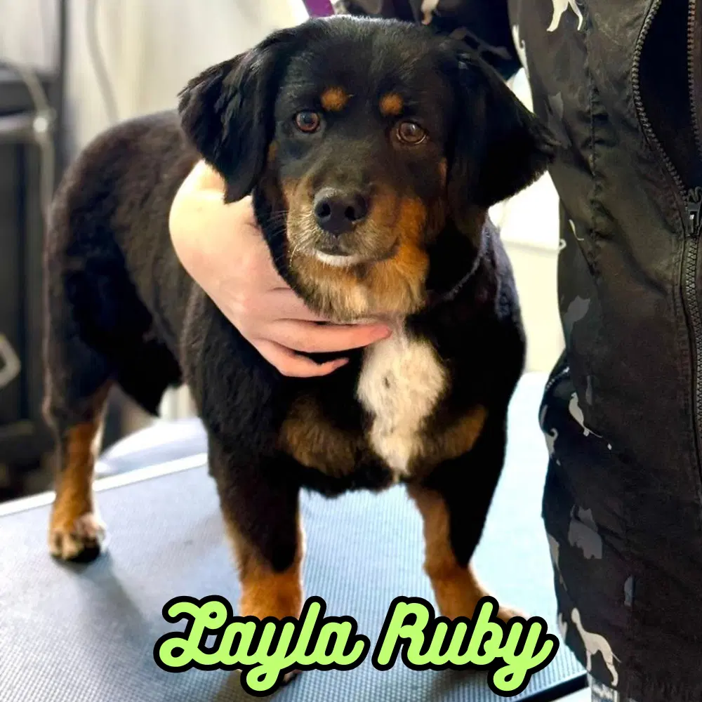 Layla Ruby image 2