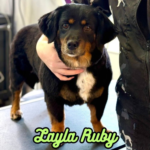 Layla Ruby photo 2