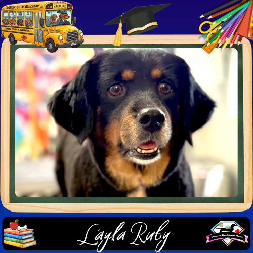 Layla Ruby