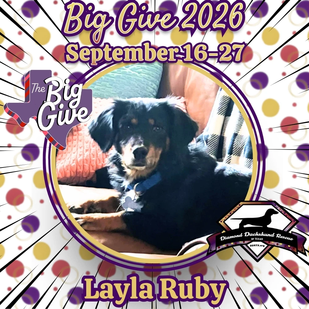 Layla Ruby