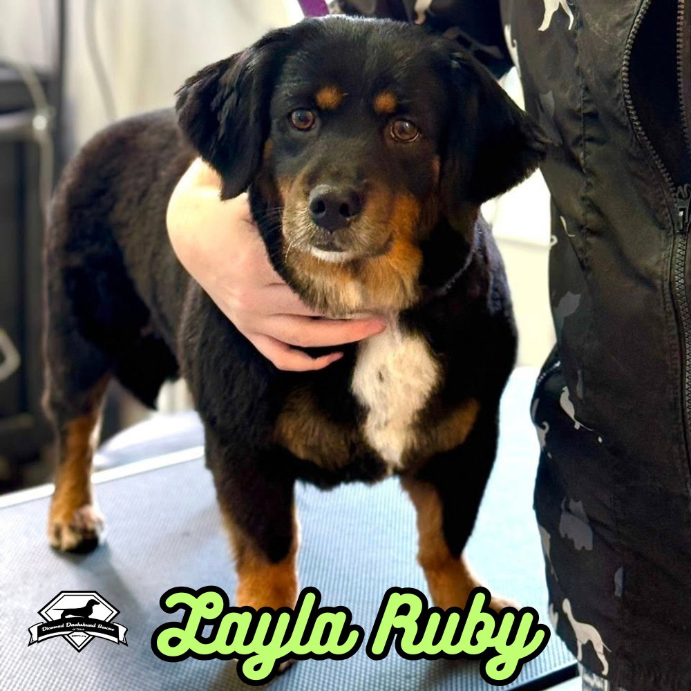 Layla Ruby, photo 2