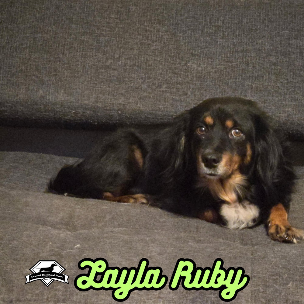 Layla Ruby, photo 4
