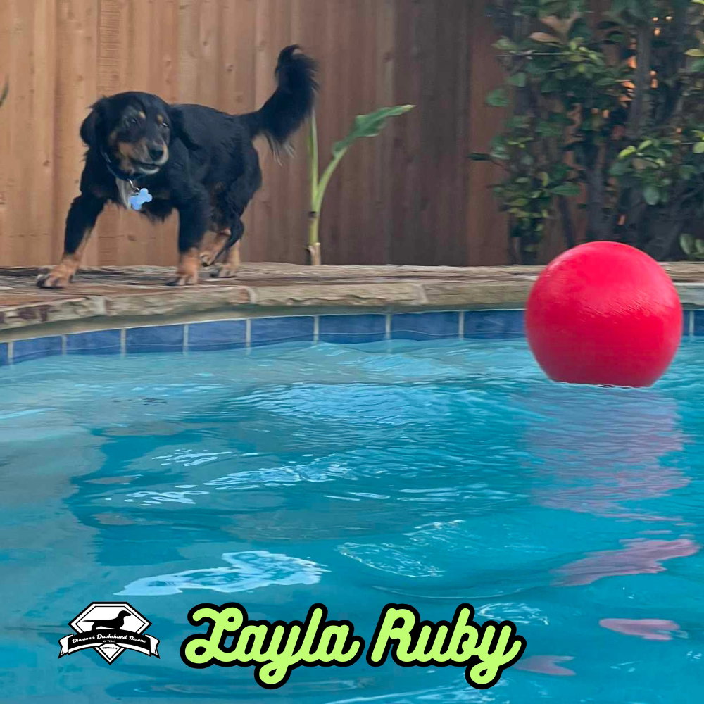 Layla Ruby, photo 5