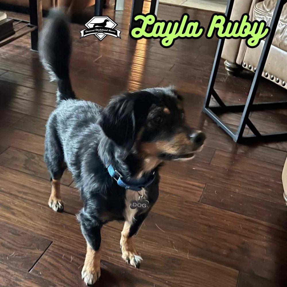 Layla Ruby, photo 6