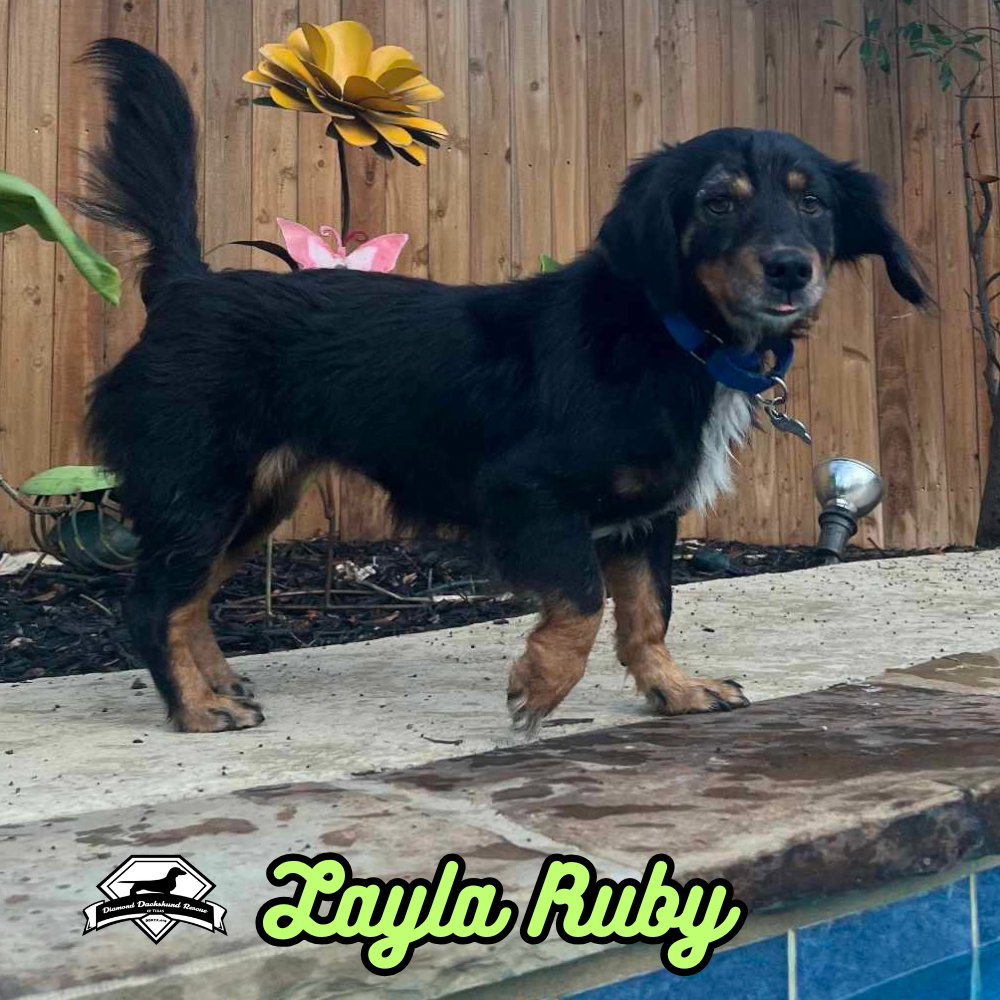 Layla Ruby, photo 7