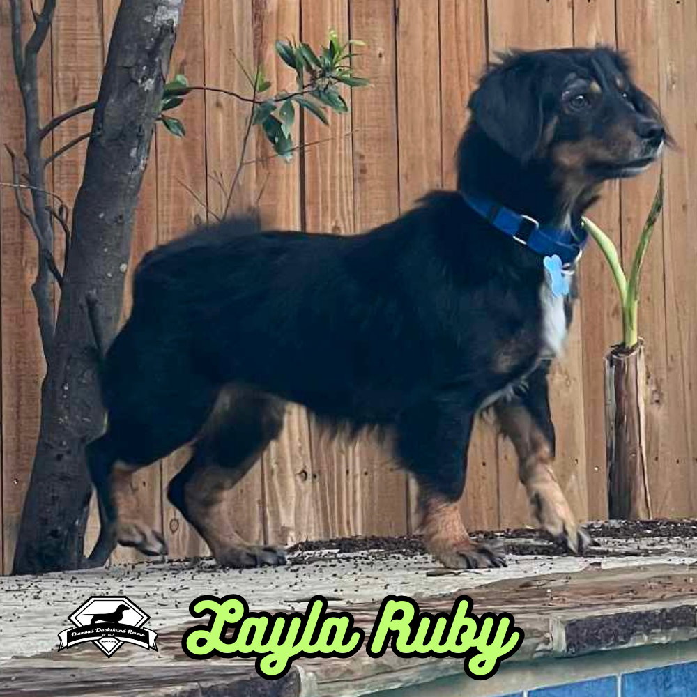 Layla Ruby, photo 8
