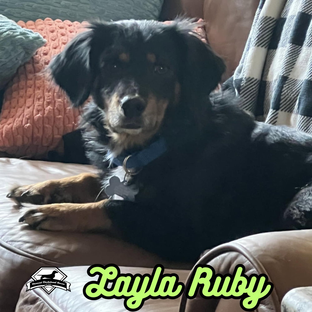 Layla Ruby, photo 14