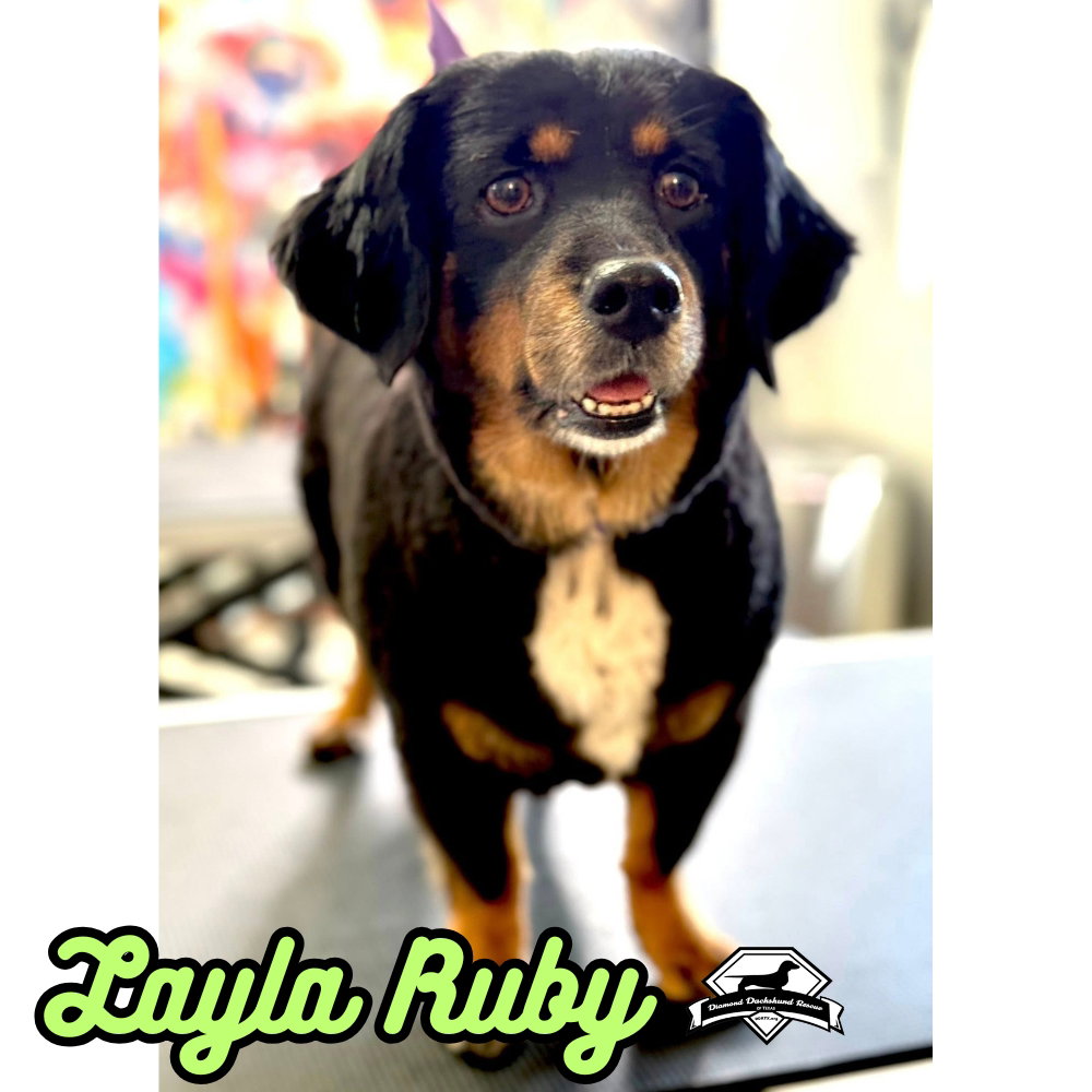 Layla Ruby, photo 15
