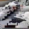 Rosie Lulu