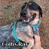 Colby Ray