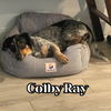 Colby Ray