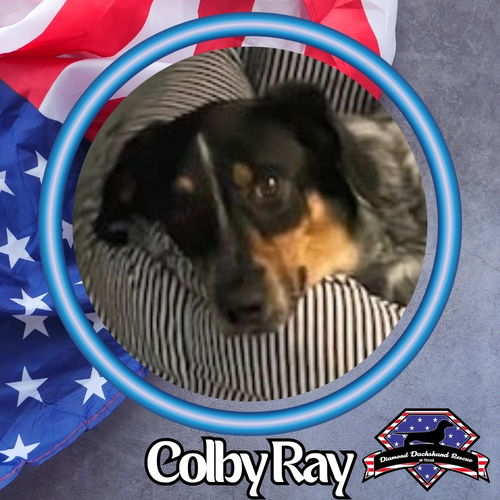 Colby Ray