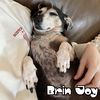 Brin Joy