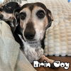 Brin Joy