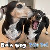 Brin Joy