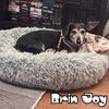 Brin Joy