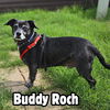 Buddy Roch