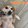 Sophie Lynn - Photo 10