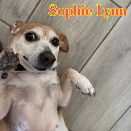 Sophie Lynn, photo 17