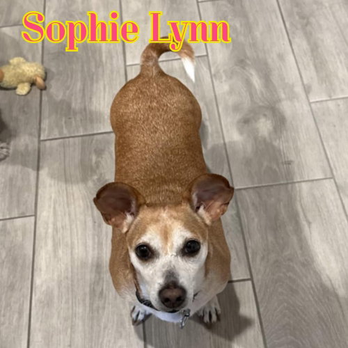 Sophie Lynn, photo 18