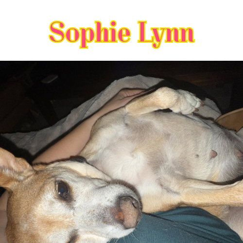 Sophie Lynn, photo 19