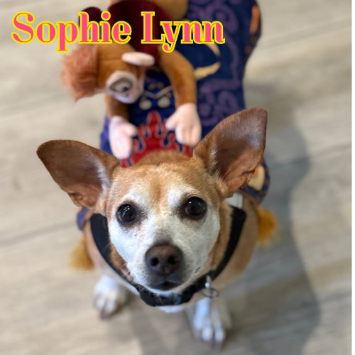 Sophie Lynn, photo 12