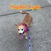 Sophie Lynn - Photo 6