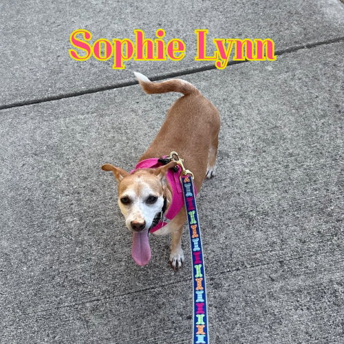 Sophie Lynn, photo 13