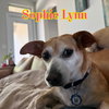 Sophie Lynn - Photo 13