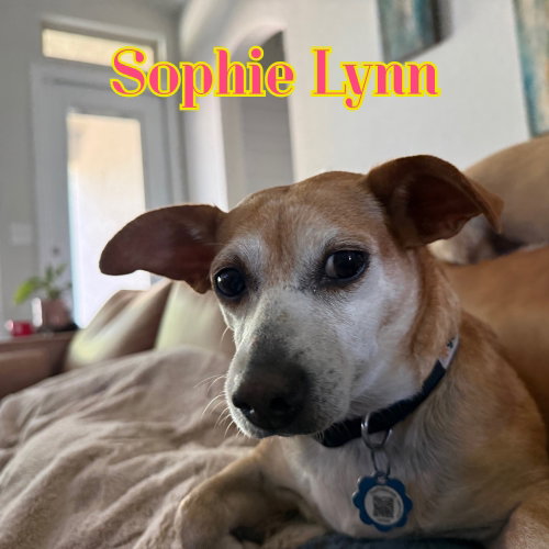 Sophie Lynn, photo 20