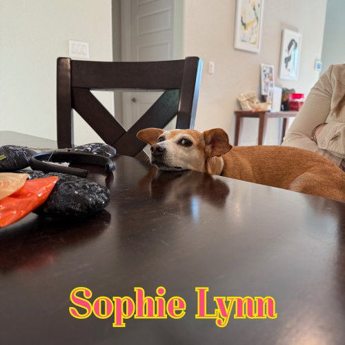 Sophie Lynn, photo 21