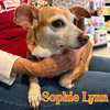 Sophie Lynn - Photo 2