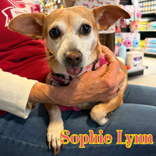 Sophie Lynn, photo 23