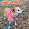 Sophie Lynn - Photo 3