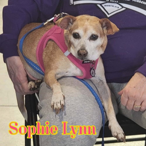 Sophie Lynn, photo 24