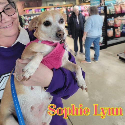 Sophie Lynn, photo 25