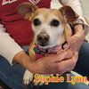 Sophie Lynn - Photo 20