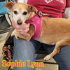 Sophie Lynn - Photo 4