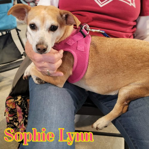 Sophie Lynn, photo 10