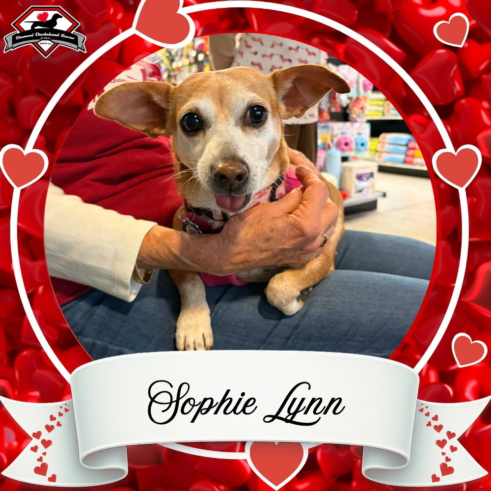 Sophie Lynn Image