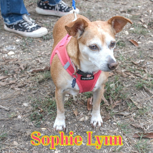 Sophie Lynn, photo 11