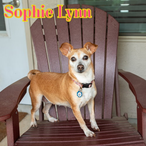 Sophie Lynn photo 3