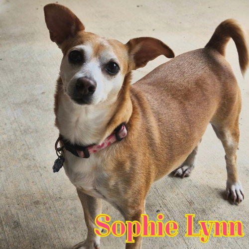 Sophie Lynn photo 6
